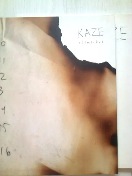 Kazimiera Zimblytė (Kazė). Akimirkos. tekstai, piešiniai - Autorių Kolektyvas, knyga
