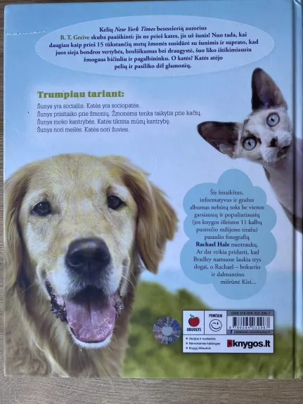 Kodėl šunys geriau už kates - Autorių Kolektyvas, knyga 1