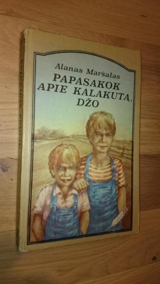 Papasakok apie kalakutą, Džo