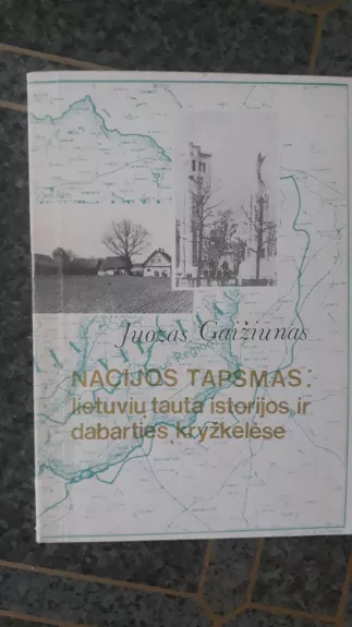 Nacijos tapsmas: lietuvių tauta istorijos ir dabarties kryžkelėse - Juozas Gaižiūnas, knyga