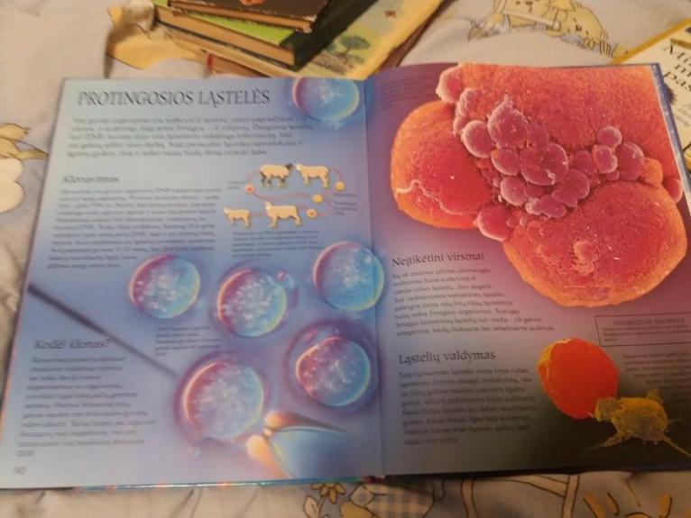 Mokslo stebuklai ir paslaptys