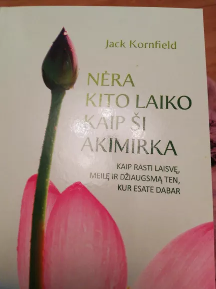 Nera kito laiko kaip ši akimirka - Jack Kornfield, knyga