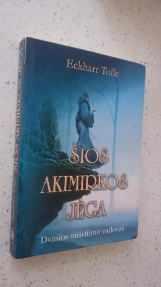 Šios akimirkos jėga: dvasios nušvitimo vadovas - Tolle Eckhart, knyga