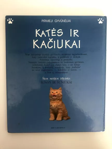 Katės ir kačiukai - Katherine Starke, knyga 1