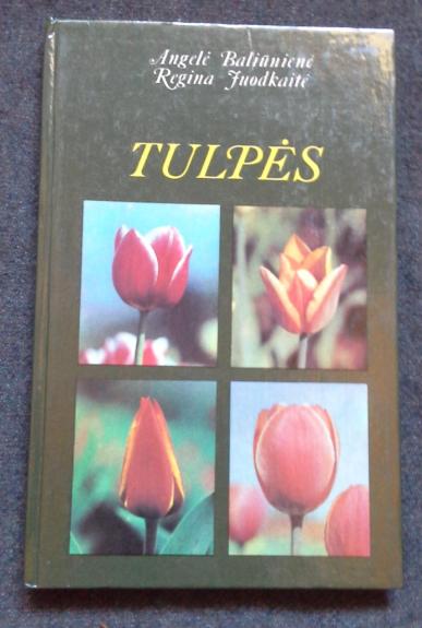TULPĖS