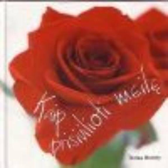 Kaip prisivilioti meilę