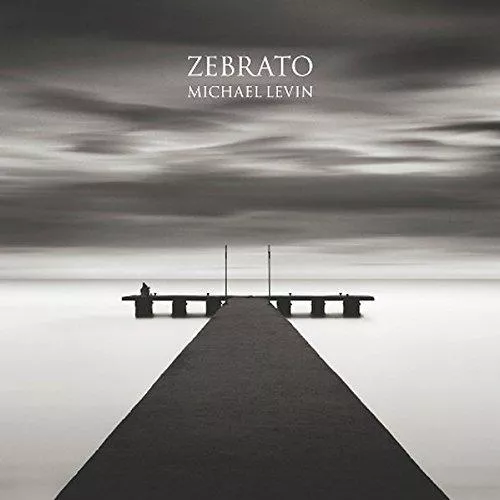 Zebrato - Michael Levin, knyga