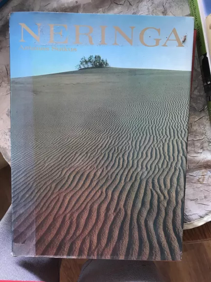 Neringa - A. Sutkus, knyga