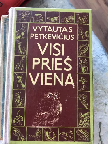 Visi prieš vieną - Vytautas Petkevičius, knyga