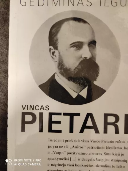 Vincas Pietaris - Gediminas Ilgūnas, knyga