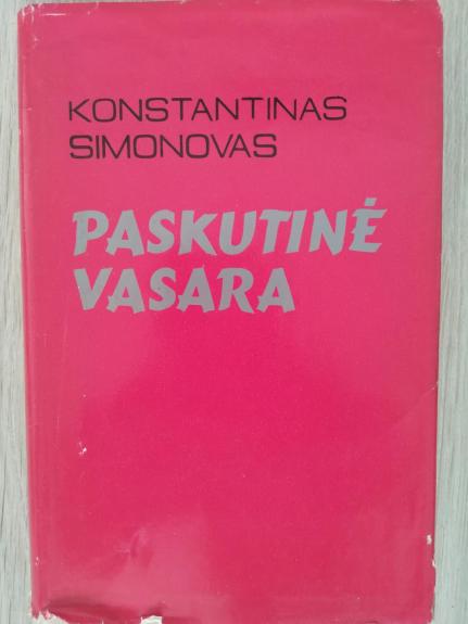 Paskutinė vasara