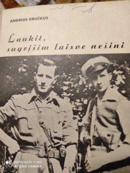 Laukit, sugrįšim laisve nešini - Andrius Dručkus, knyga