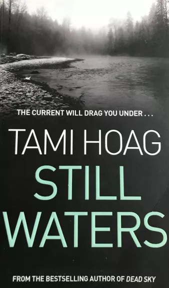 Still Waters - Tami Hoag, knyga
