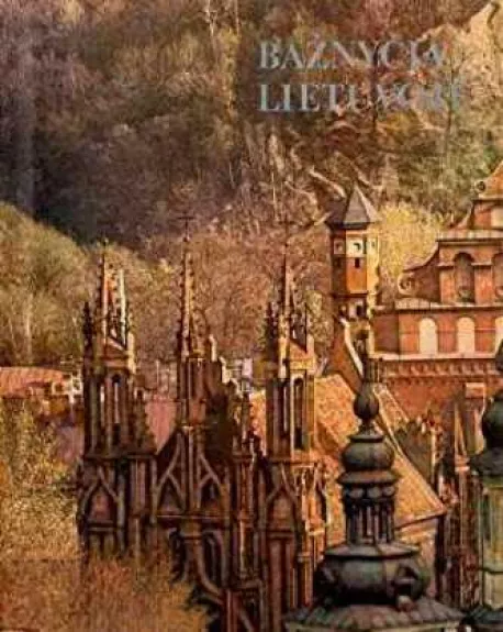 Bažnyčia Lietuvoje - Autorių Kolektyvas, knyga