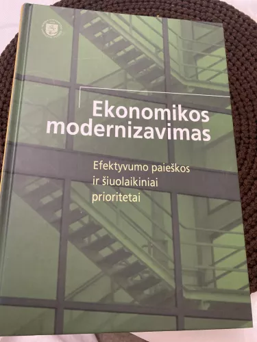 Ekonomikos modernizavimas: efektyvumo paieškos ir šiuolaikiniai prioritetai - Melnikas Borisas, knyga
