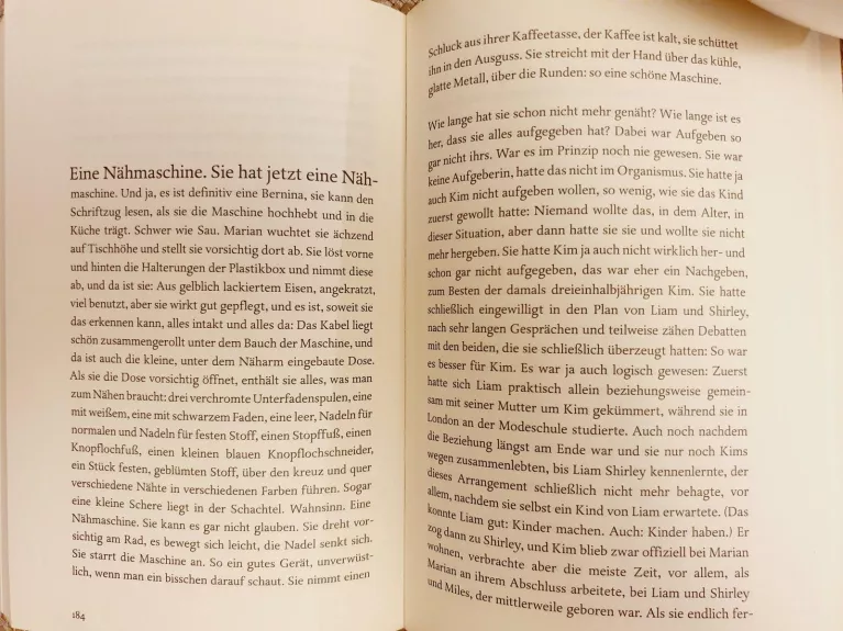 Wald - Doris Knecht, knyga 1