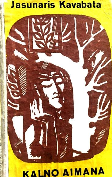Kalno aimana - Jasunaris Kavabata, knyga