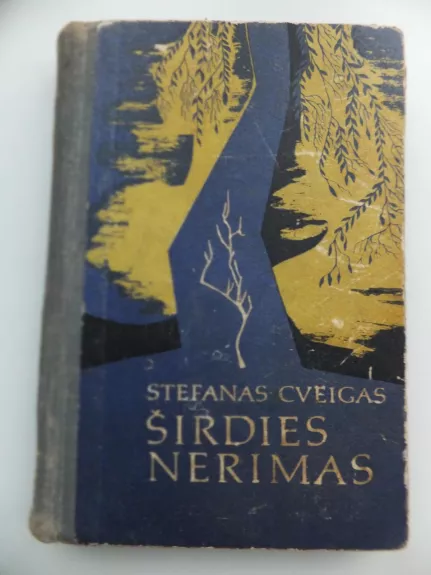 Širdies nerimas - Stefan Zweig, knyga 1