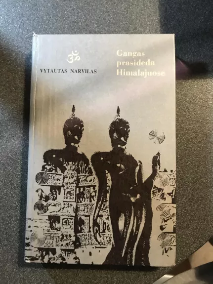 Gangas prasideda Himalajuose - Vytautas Narvilas, knyga