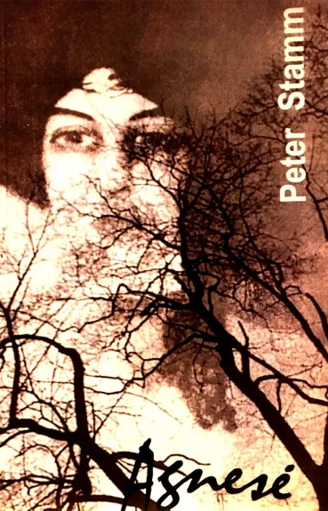 Agnesė - Peter Stamm, knyga