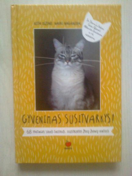 Gyvenimas susitvarkys