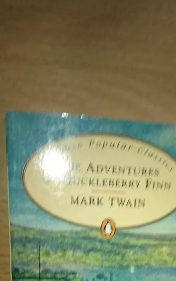 The Adventures of Huckleberry Finn - Mark Twain, knyga