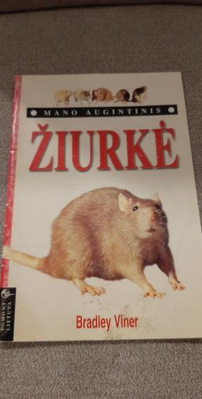 Mano augintinis. Žiurkė