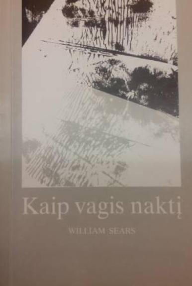 Kaip vagis naktį. Taip ir neįvykusio atėjimo byla