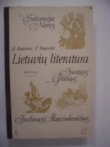 Lietuvių literatūra (1940-1988) 12 kl. - E. Bukelytė, V. Daujotytė, knyga