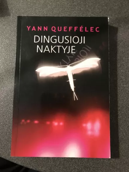 Dingusioji naktyje - Yann Queffelec, knyga