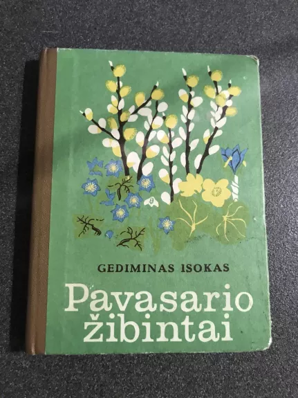 Pavasario žibintai - Gediminas Isokas, knyga