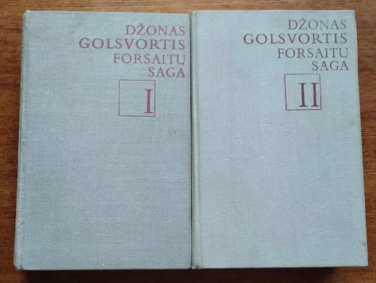 Forsaitų saga (2 tomai) - Džonas Golsvortis, knyga 1