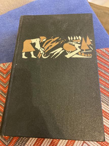 Plati giminė (II tomas)