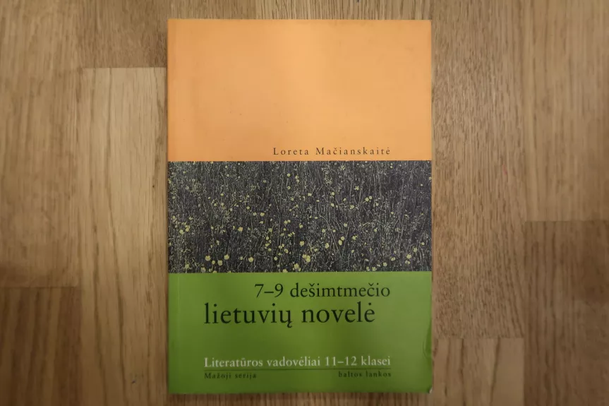 7-9 dešimtmečio lietuvių novelė - Loreta Mačianskaitė, knyga