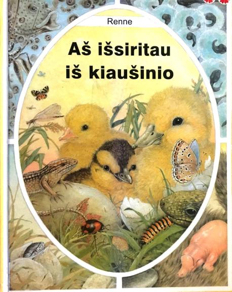 Aš išsiritau iš kiaušinio - Autorių Kolektyvas, knyga