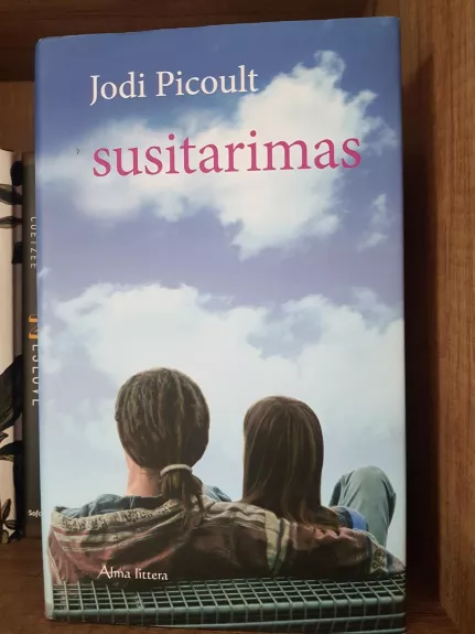 Susitarimas - Jodi Picoult, knyga