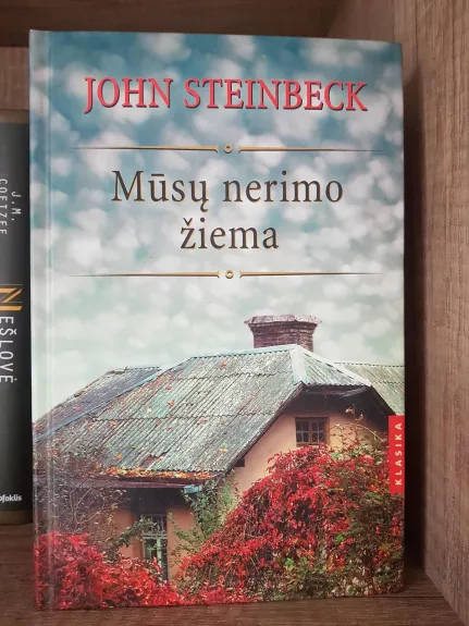 Mūsų nerimo žiema - John Steinbeck, knyga