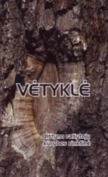 Vėtyklė