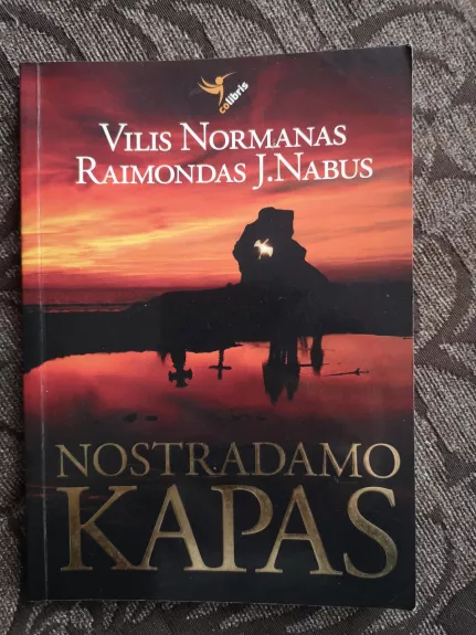 Nostradamo kapas - R. J. Nabus, V.  Normanas, knyga