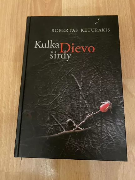 Kulka Dievo širdy - Robertas Keturakis, knyga