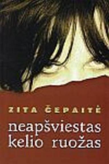 Neapšviestas kelio ruožas