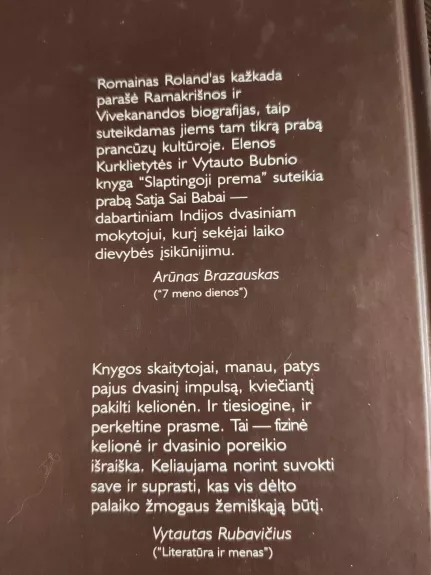 Paslaptingoji prema - Vytautas Bubnys, knyga 1