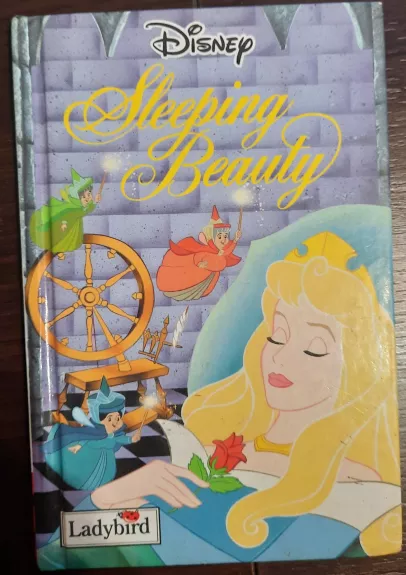Sleeping Beauty - Autorių Kolektyvas, knyga