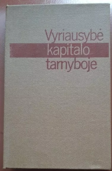 Vyriausybė kapitalo tarnyboje: tautininkų socialinė ekonominė politika Lietuvoje 1927-1940 - Autorių Kolektyvas, knyga