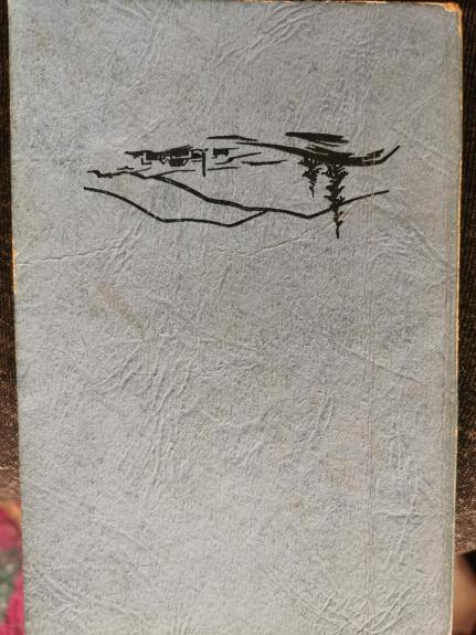 На вершинах карпат - Autorių Kolektyvas, knyga