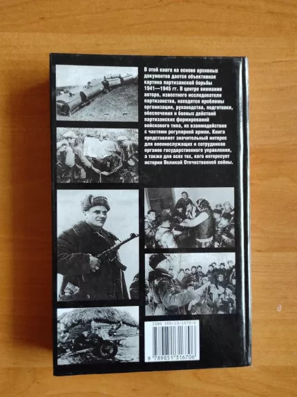 Партизаны и армия - В. И. Боярский, knyga 1