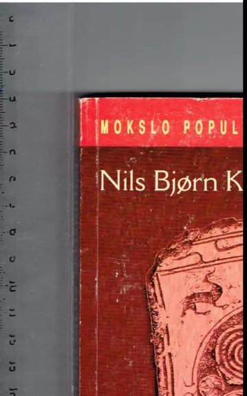 Paranormalūs reiškiniai senojoje skandinavų literatūroje - Autorių Kolektyvas, knyga