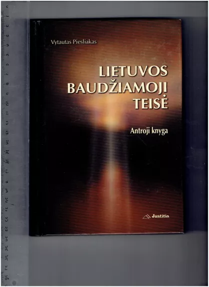 Lietuvos baudžiamoji teisė (2 knyga) - Vytautas Piesliakas, knyga
