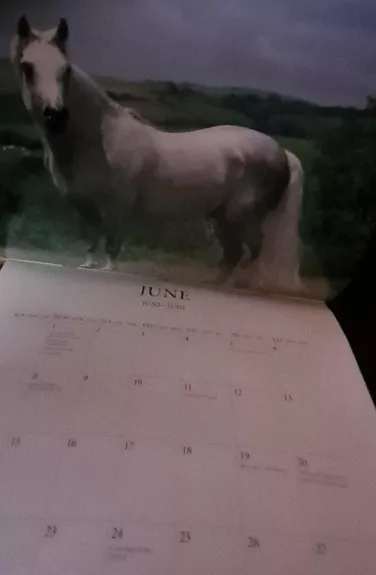 Kalendorius The Horse