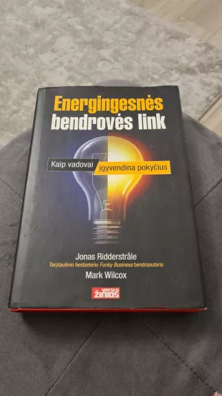 Energingesnės bendrovės link: Kaip vadovai įgyvendina pokyčius - Jonas Ridderstrale, Kjell  Nordstrom, knyga